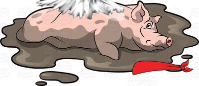 A tired pig resting on a muddy surface